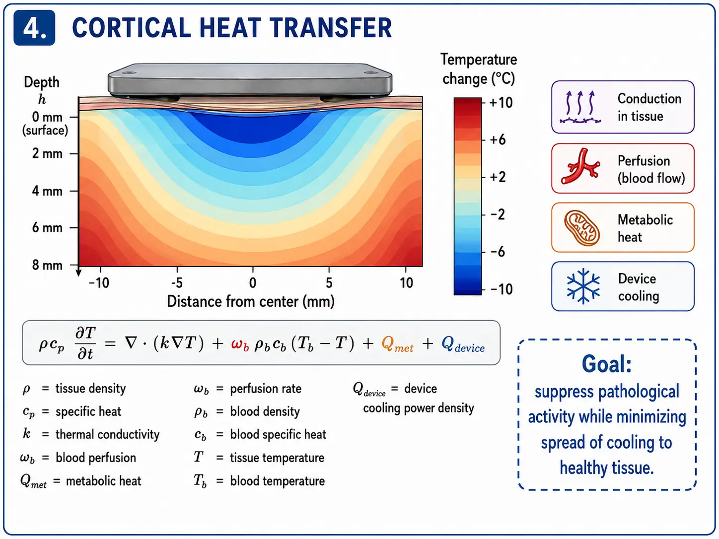 Conceptual cortical temperature field and bioheat-transfer equation beneath a localized cooling surface